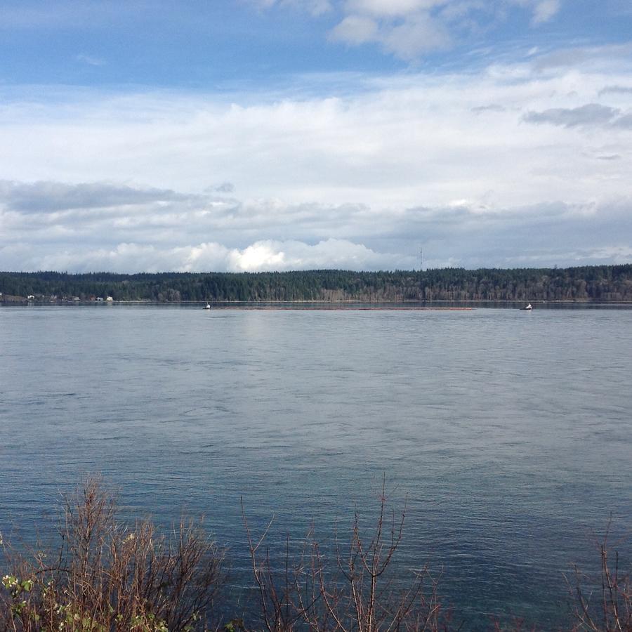 Above Tide Motel Campbell River Exterior photo